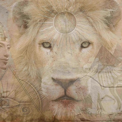 The White Lions of Timbavati