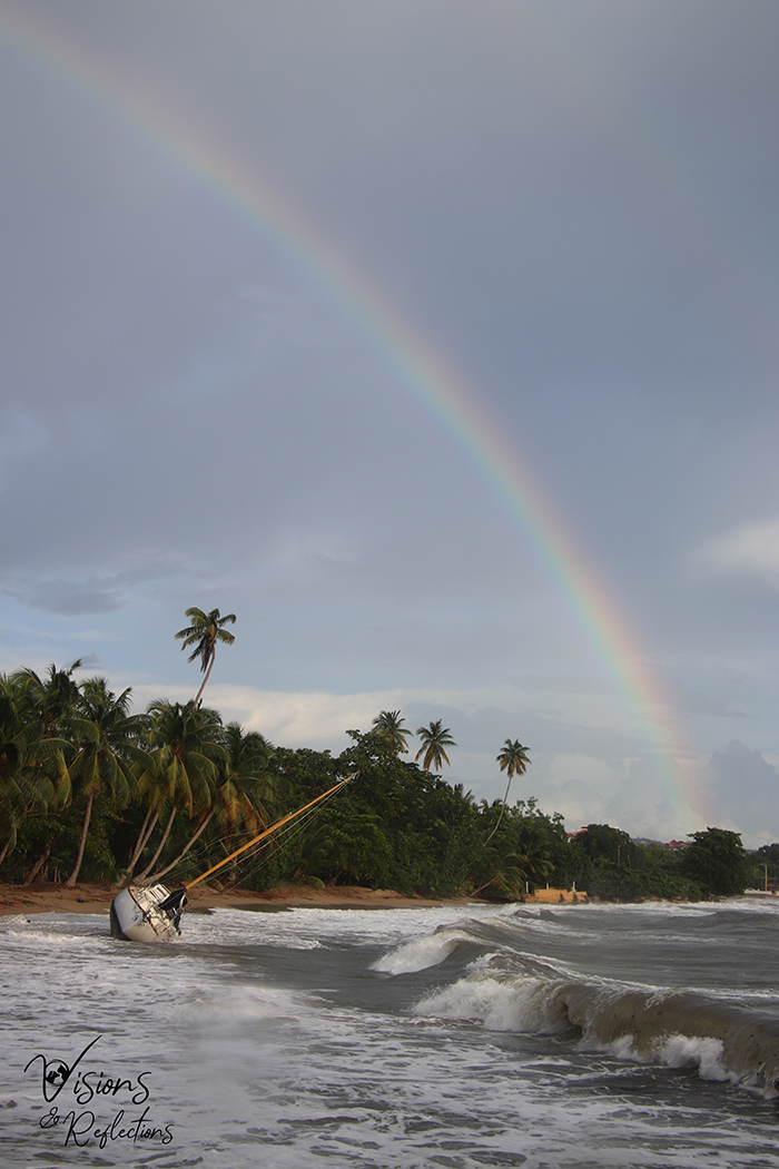 After the Storm