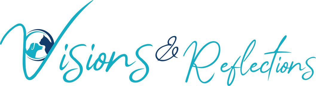 Visions and Reflections